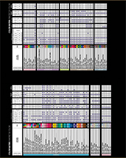 Sempertex Matrix Colores 2024