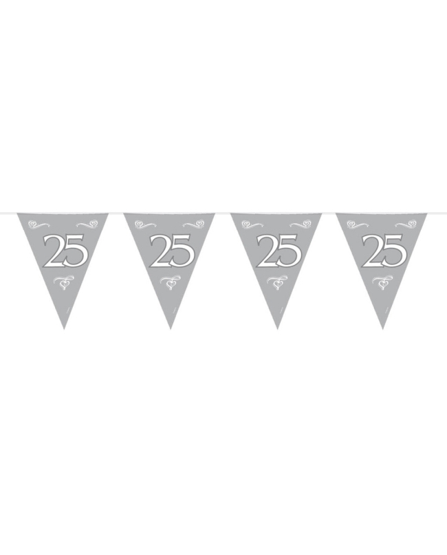 Banderin Plata 25 Aniversario Plastico 10m