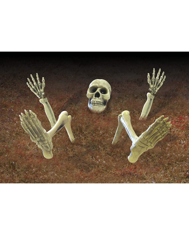 Deco Suelo Esqueleto Plastico 18-32cm