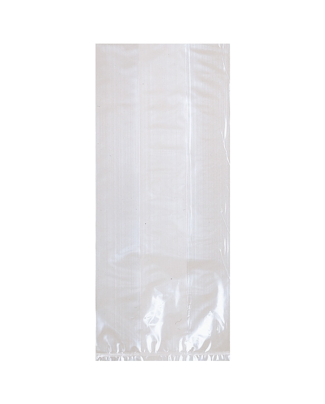 Bolsas Plastico Transparente 24X10X5cm