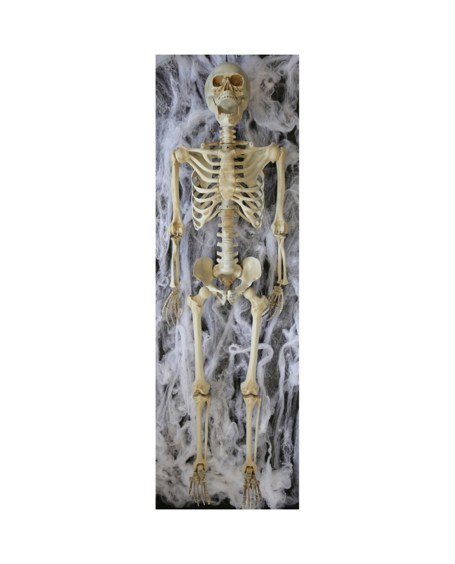 Deco. Colgante Esqueleto Tamaño Natutal