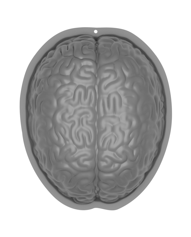 Molde Pudin Forma De Cerebro Plastico
