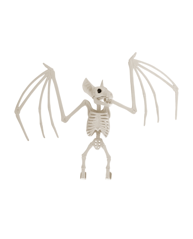 Esqueleto Murcielago Plastico