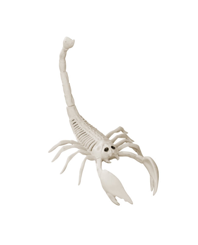 Esqueleto Escorpion Plastico