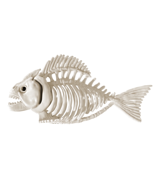 Esqueleto Piraña Plastico