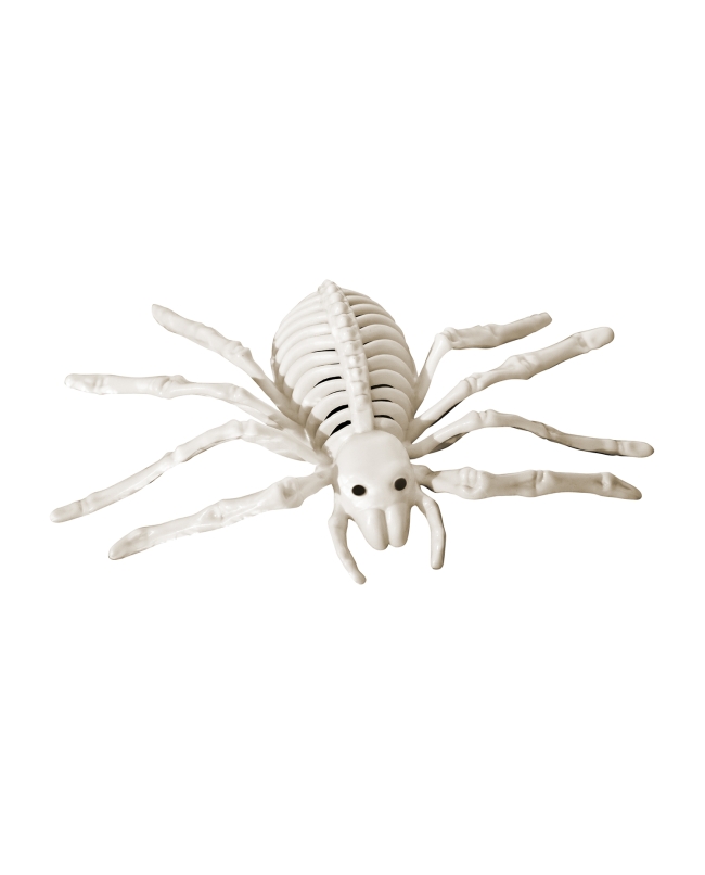 Esqueleto Araña Plastico