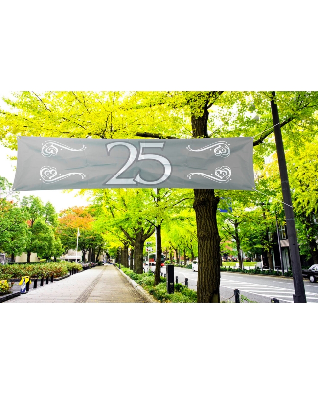 Pancarta 25 Aniversario 180X40cm Poliester