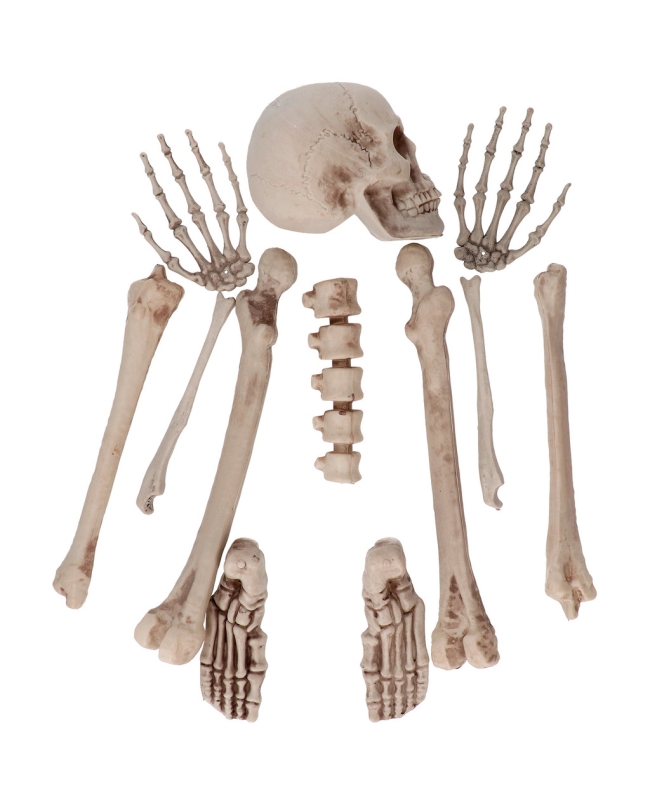 Set Deco Piezas Esqueleto