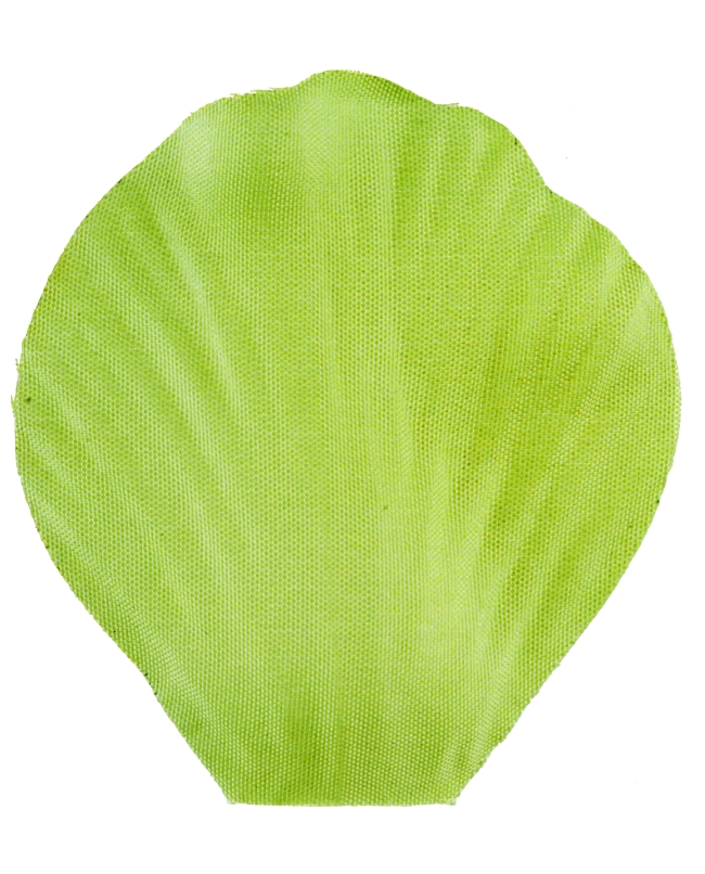 Petalo Verde 5X4.6cm Tela ***OFERTA DTO NO ACUMULABLE