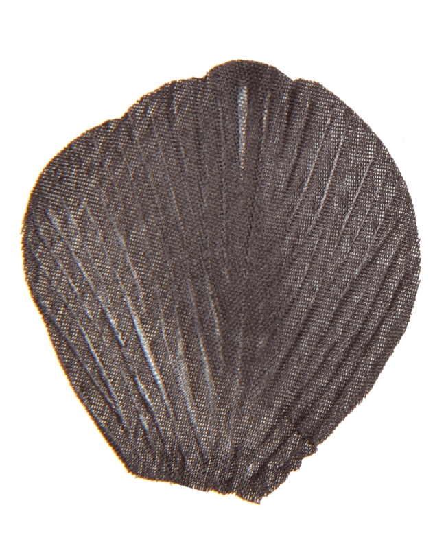 Petalo Negro 5X4.6cm Tela ***OFERTA DTO NO ACUMULABLE