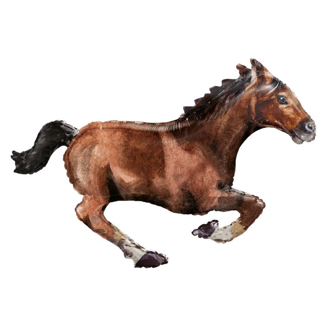 FOR GALLOPING HORSE 40/101CM X 25/63CM