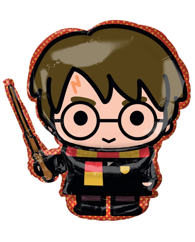 Forma Harry Potter 48 X 78cm