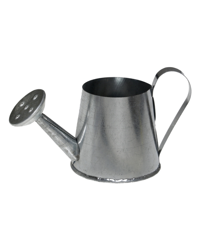 Deco. Regadera Plata 3 X 9 X 5cm Metal ***OFERTA DTO NO ACUMULABLE