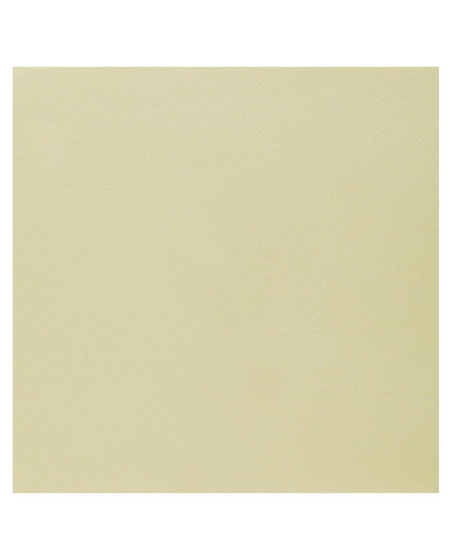 Servilletas Rainbow Champan 40x40cm Airlaid 65 gr/m2 ***OFERTA DTO NO ACUMULABLE