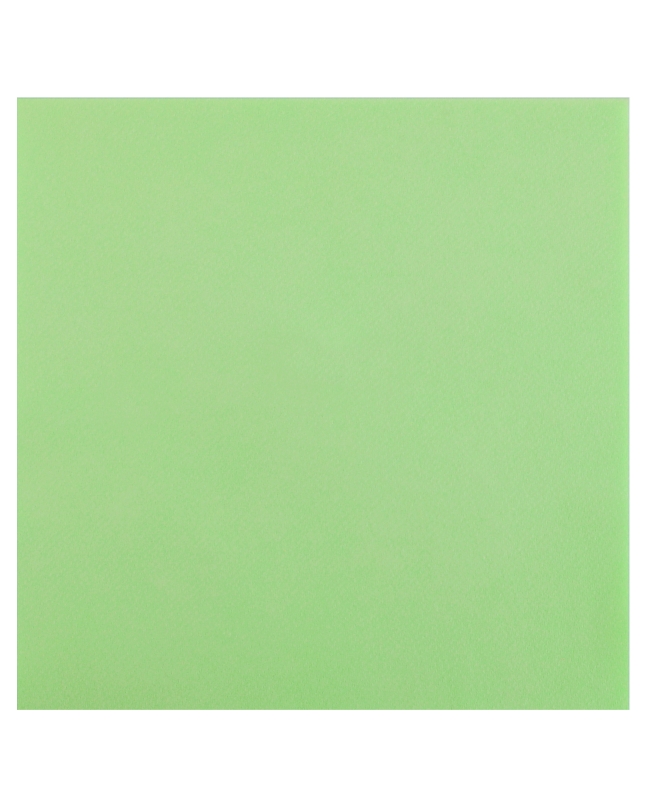 Servilletas Rainbow Verde Menta 40x40cm Airlaid 65 gr/m2 ***OFERTA DTO NO ACUMULABLE