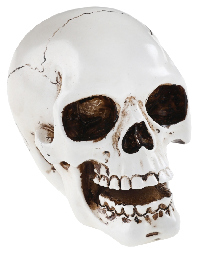 Decoracion Craneo Blanco 7X10.5X9cm Resina ***OFERTA DTO NO ACUMULABLE