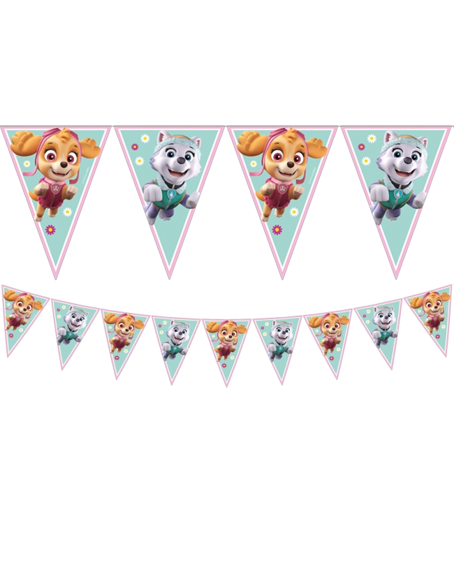 Banderin Patrulla Canina Rosa