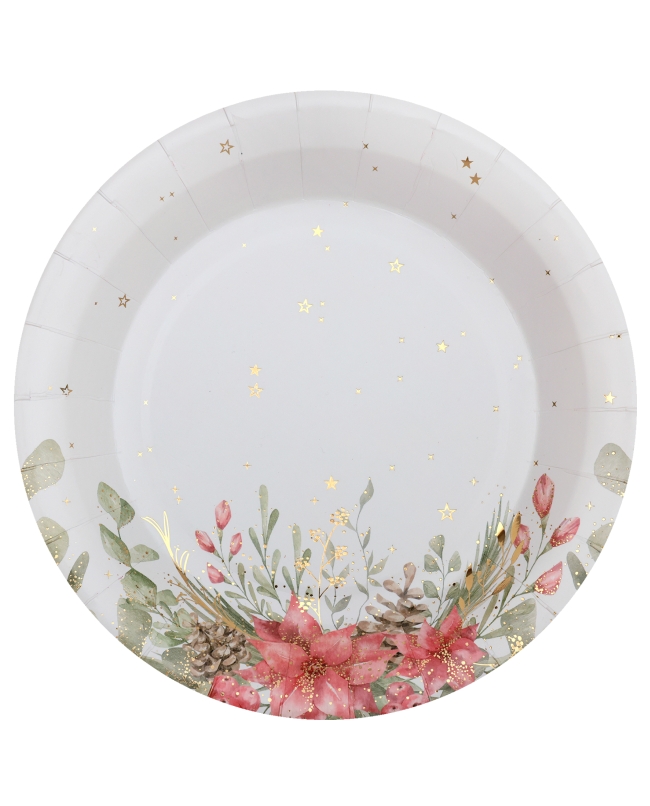 Plato Ramo Invierno 22.5cm Carton ***OFERTA DTO NO ACUMULABLE