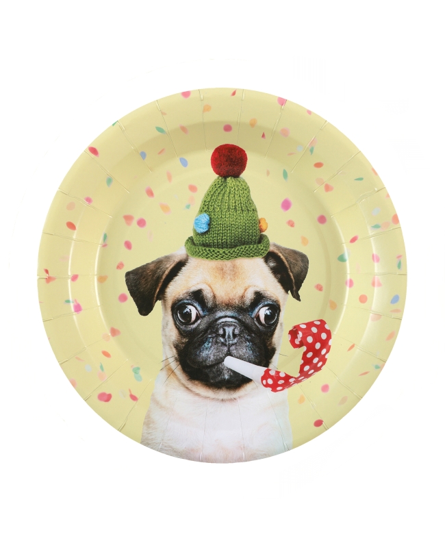 Plato Perro 22.5cm Carton