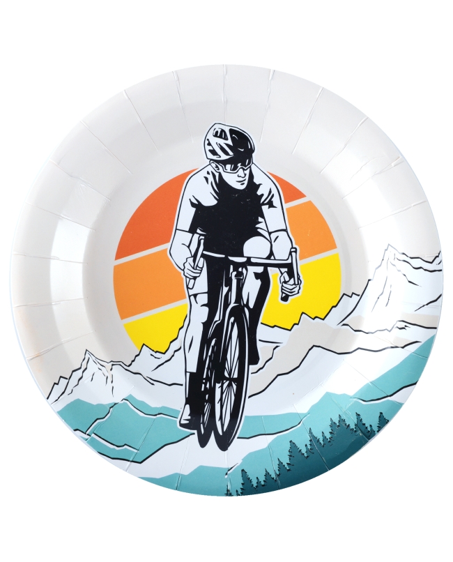 Plato Bicicleta 22.5cm Carton