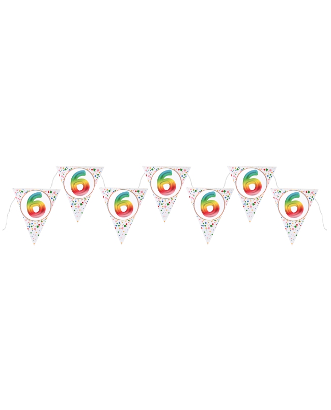 Banderin Multicolor 6 Años 22X26cm X3m Carton