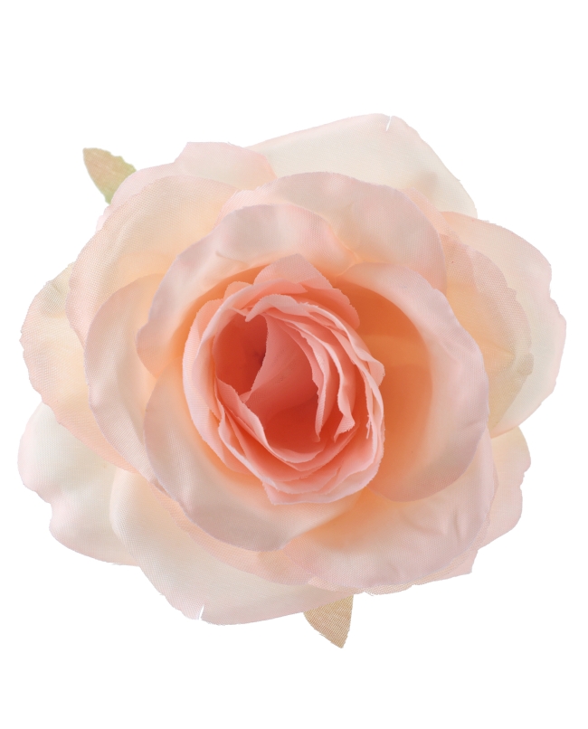 Rosa Melocoton 10X7.5cm Poliester