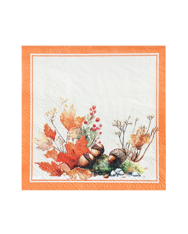 Servilleta Peq. Ardilla 25X25cm Papel 3 Capas ***OFERTA DTO NO ACUMULABLE
