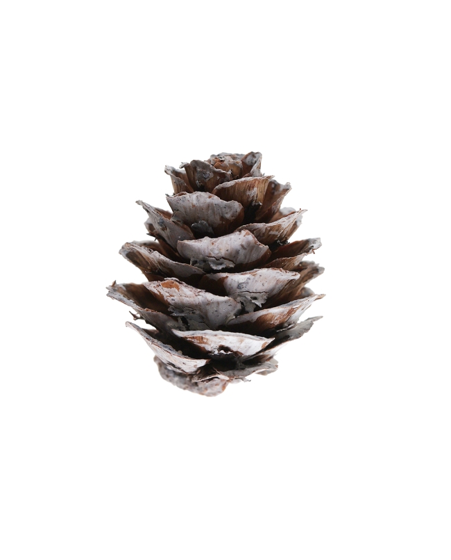 Confeti Piña Nieve 2.5X3cm Madera ***OFERTA DTO NO ACUMULABLE