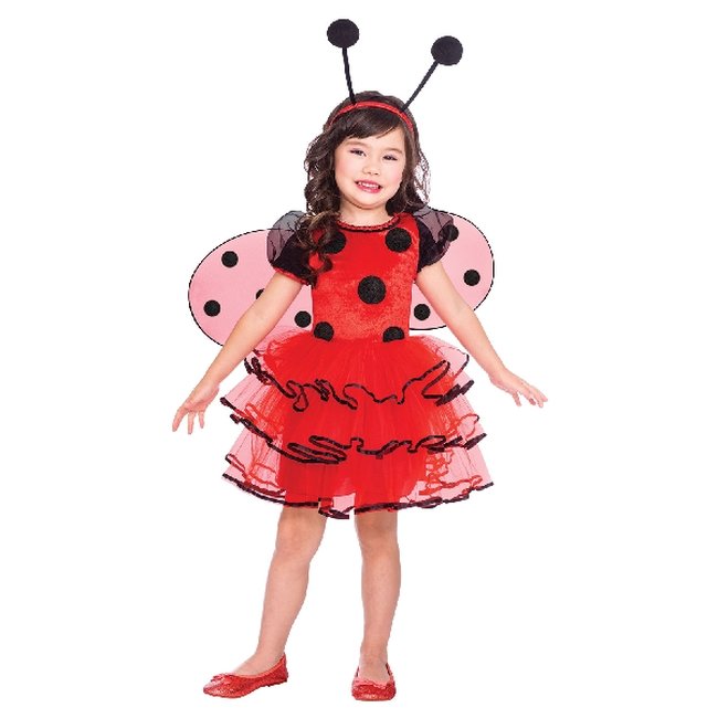 Disfraz Ladybird Talla 1-2 Años