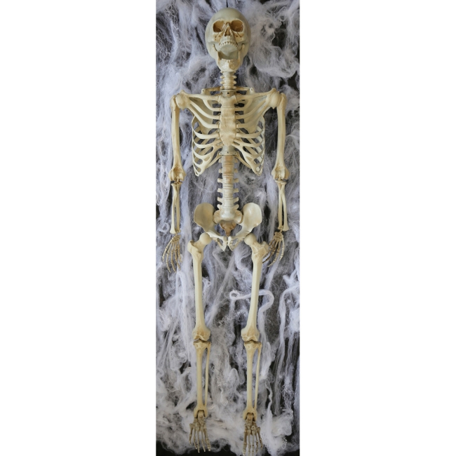 Deco. Colgante Esqueleto Tamaño Natutal
