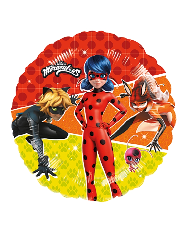 18/43cm Ladybug Y Catnoir