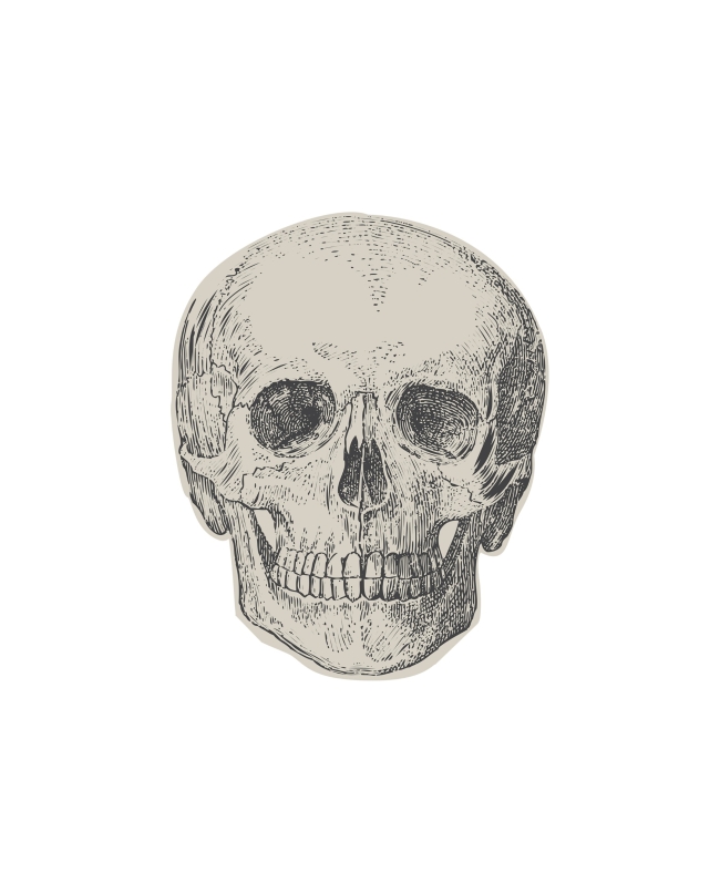 Servilletas Forma Calavera