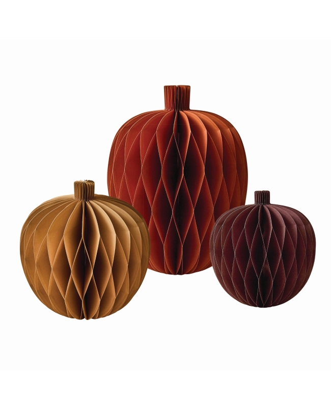 Set Deco Nido Abeja Calabazas
