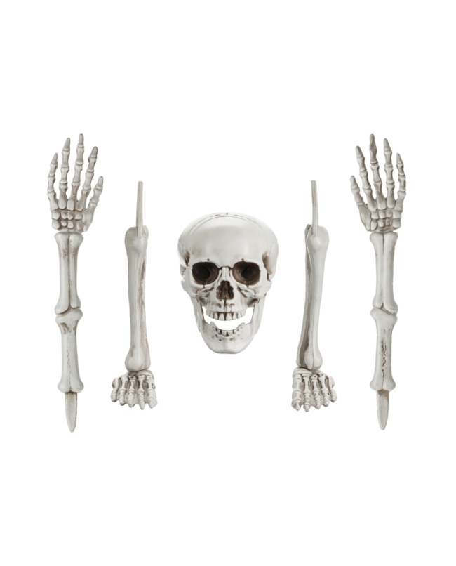 Decoracion Esqueleto ***OFERTA DTO NO ACUMULABLE