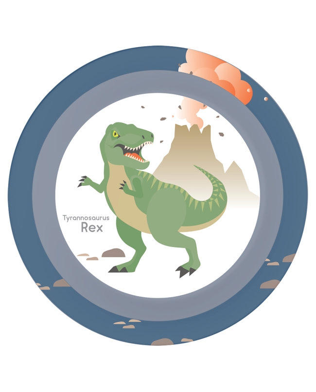 Platos Plastico 21,2cm Reutilizables Dino