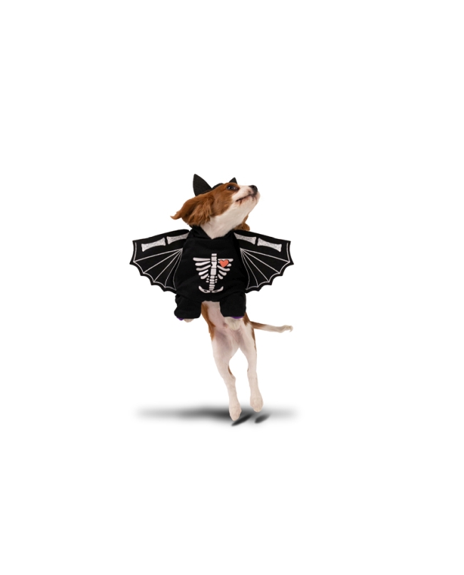 Disfraz Perro Murcielago 45X35cm ***OFERTA DTO NO ACUMULABLE