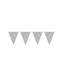 Banderin Plata 25 Aniversario Plastico 10m