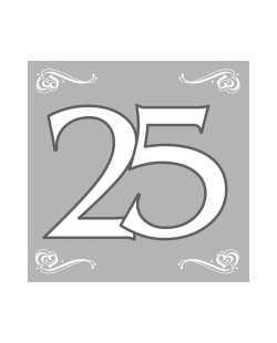 Servilletas 33X33 Plata 25 Aniversario