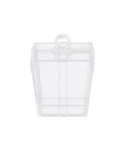 Acc. Peso Caja Regalo Hueca 50G