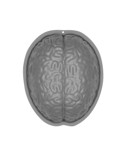Molde Pudin Forma De Cerebro Plastico