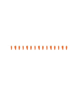 Guirnalda Zanahorias 15X160cm Papel