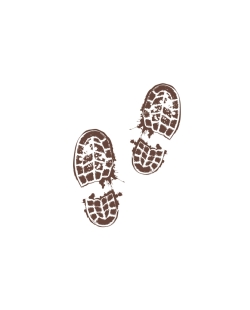 Pegatinas Suelo Zapatos Bosque Embrujado