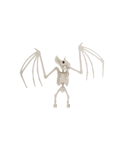 Esqueleto Murcielago Plastico
