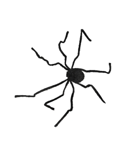 Animatronic Araña Caminante 90X25cm X 1,2M