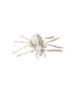 Esqueleto Araña Plastico