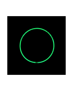 Collar Neon Verde 58cm