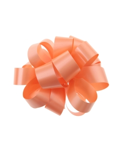 Lazo Facil Salmon 19mm X 40m Polipropileno ***OFERTA DTO NO ACUMULABLE