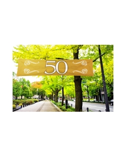 Pancarta 50 Aniversario 180X40cm Poliester
