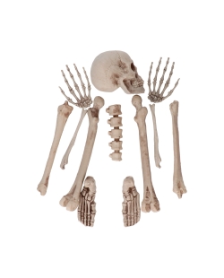 Set Deco Piezas Esqueleto