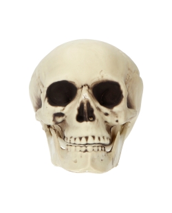 Decoracion Calavera 14X17X19cm